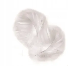 piorka-prawdziwe-duze-biale-swieta-choinka