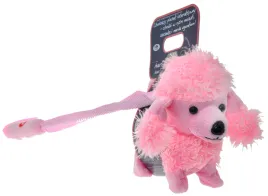 pies-pudel-piesek-tanczy-szczeka-chodzi-na-smyczy