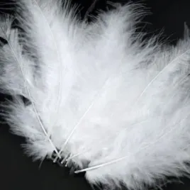 piorka-prawdziwe-duze-biale-swieta-choinka