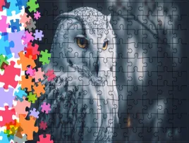 puzzle-tradycyjne-zwierzeta-sowa-producent