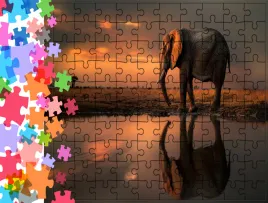 puzzle-tradycyjne-zwierzeta-slon-producent