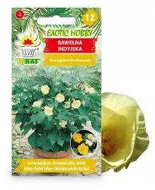 bawelna-indyjska-nasiona-kwitnaca-roslina-wieloletnia-nasiona