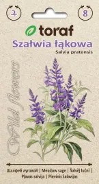 szalwia-lakowa-wyjatkowa-roslina-ozdobna-wildflowers