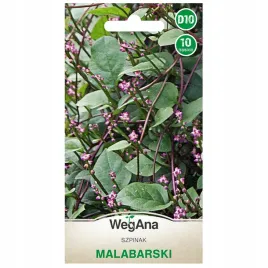 szpinak-malabarski-nasiona-szybko-rosnacy-pnacy-wegana