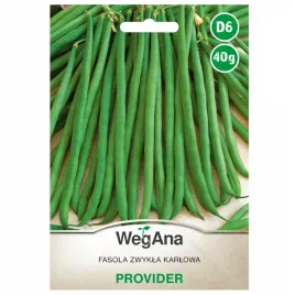 fasola-szparagowa-karlowa-provider-nasiona-40g-zielona-wegana