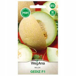 melon-gediz-f1-bardzo-slodka-soczysta-i-smaczna-odmiana-nasiona-wegana