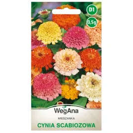 cynia-scabiozowa-mieszanka-nasiona-tworzy-sztywne-i-proste-pedy-wegana