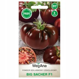 pomidor-szklarniowy-czekoladowy-big-sacher-f1-nasiona-wegana