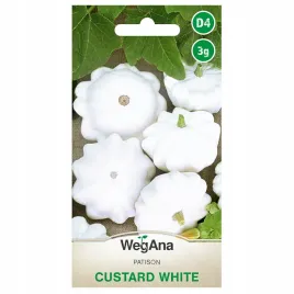 dynia-zwyczajna-patison-custard-white-cukinia-biala-nasiona-wegana