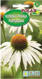 rudbekia-biala-trwala-nasiona-przyciaga-motyle