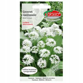 czosnek-niedzwiedzi-nasiona-wieloletnia-roslina-przyprawowa-torseed