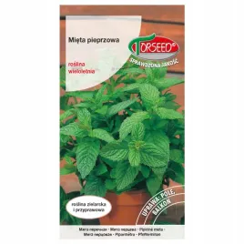 mieta-nasiona-wieloletnia-aromatyczne-liscie-torseed