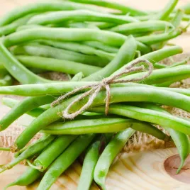 fasola-bona-zielona-bezwlokniste-straki-30g-nasiona-warzyw