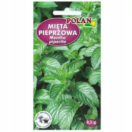 mieta-pieprzowa-01g-roslina-wieloletnia-nasiona-polan