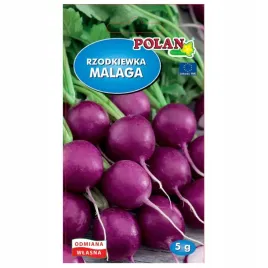 rzodkiewka-malaga-5g-fioletowa-nasiona-polan