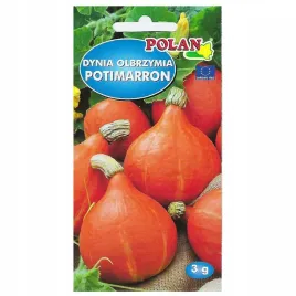 dynia-olbrzymia-potimarron-3g-nasiona-typ-hokkaido-polan