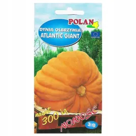 dynia-olbrzymia-atlantic-giant-3g-nasiona-polan