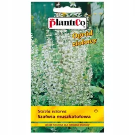szalwia-muszkatolowa-nasiona-05g-roslina-dwuletnia-plantico