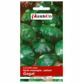 dynia-gagat-zwyczajna-wczesna-patison-2g-plantico