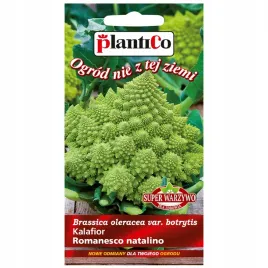 kalafior-romanesco-natalino-stozkowaty-nasiona-02g-plantico