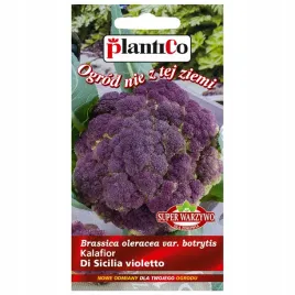 kalafior-di-sicilia-violetto-02g-nasiona-bordowo-fioletowe-roze-plantico