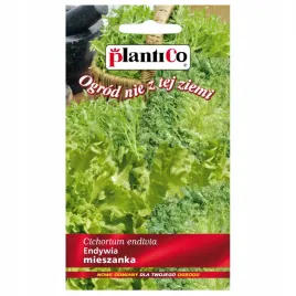 endywia-mieszanka-mix-odmian-pobudza-apetyt-nasiona-03g-plantico
