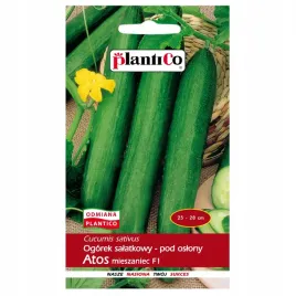 ogorek-salatkowy-pod-oslony-szklarnia-atos-f1-1g-plantico