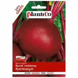 burak-cwiklowy-karmazyn-kulisty-12g-plantico