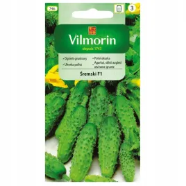 sremski-f1-ogorek-gruntowy-nasiona-3g-vilmorin
