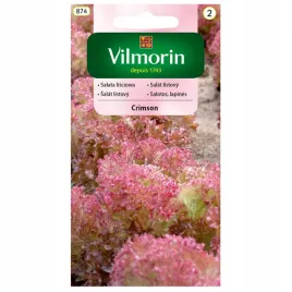 salata-crimson-lisciowa-fryzowan-kedzierzawa-nasiona-1g-vilmorin