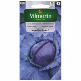 kapusta-glowiasta-langedijker-dauer-3-nasiona-2g-vilmorin