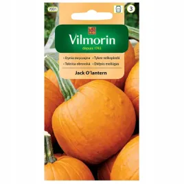 dynia-zwyczajna-jack-o-lantern-nasiona-halloween-2g-vilmorin