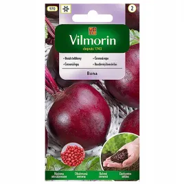 burak-bona-nasiona-otoczkowane-100-szt-vilmorin