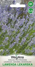 lawenda-lekarska-02g-nasiona-ziol-wegana