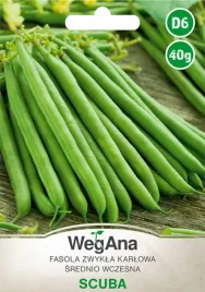 fasola-szparagowa-karlowa-scuba-nasiona-40g-zielona-wegana