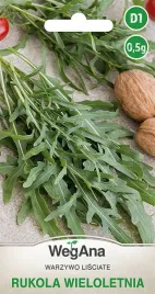 rukola-diplotaxis-wieloletnia-bylina-rucola-orzechowy-smak-nasiona-wegana