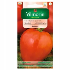 pomidor-gruntowy-wysoki-herodes-nasiona-03g-vilmorin