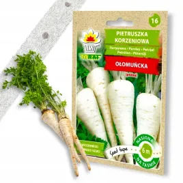 pietruszka-olomuncka-pozna-nasiona-na-tasmie-6m-tasma-toraf