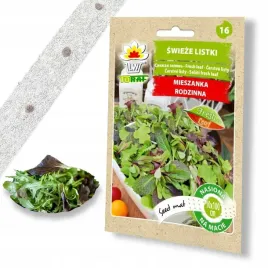 swieze-listki-mix-nasiona-rukola-salata-na-tasmie