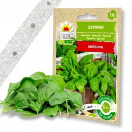 szpinak-matador-duze-liscie-nasiona-na-tasmie-6m
