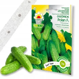 ogorek-gruntowy-polan-f1-nasiona-na-tasmie-7m