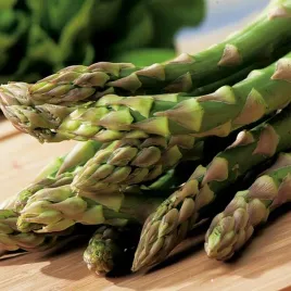 asparagus-boonlim-szparag-1-szt-szparagi-sadzonki-karpy-sadzonka