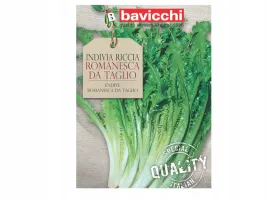 endywia-romanesca-da-taglio-zielona-nasiona