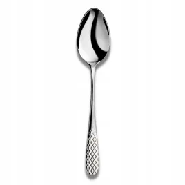 lyzka-duza-do-serwowania-ze-stali-nierdzewnej-wilmax-235-cm