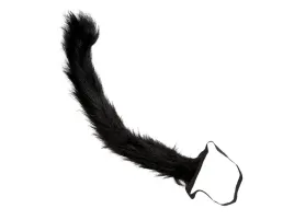 ogon-kotek-czarny