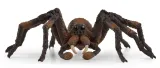 aragog-wizarding-world-bohater-harry-potter