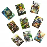 spor-o-bor-muduko-rodzaj-podstawa