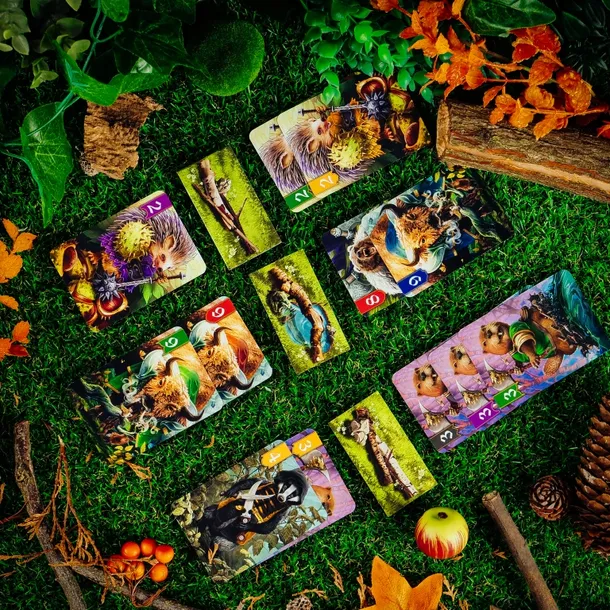 spor-o-bor-muduko-informacje-dodatkowe-wersja-podrozna