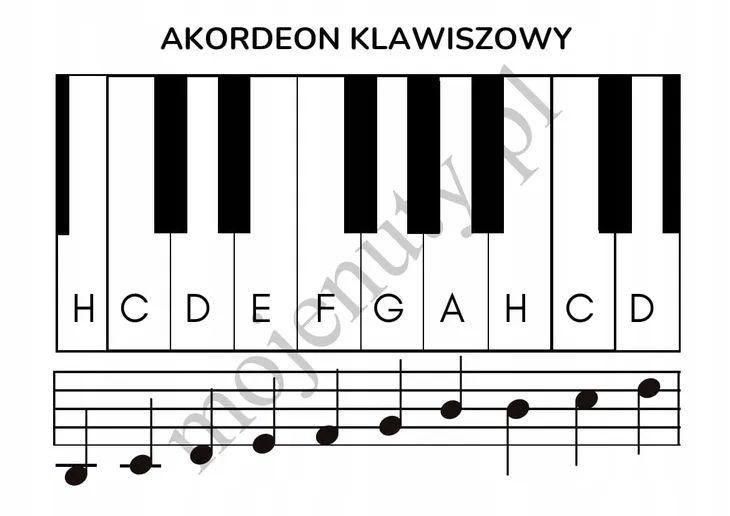 moje-pierwsze-melodie-wydawnictwo-mojenuty-pl