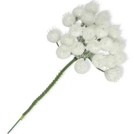 owoce-na-piku-biale